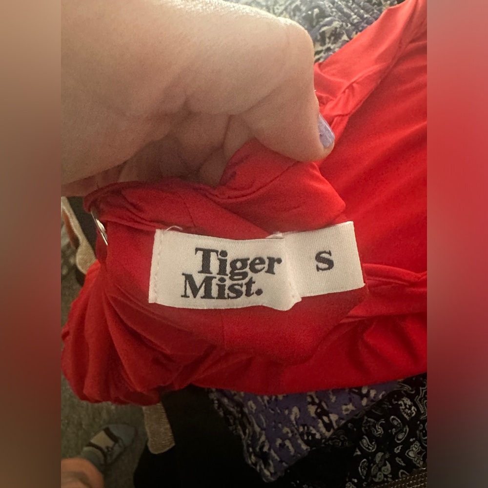 Tiger Mist Red Silky Ruched Dress - Picture 7 of 7